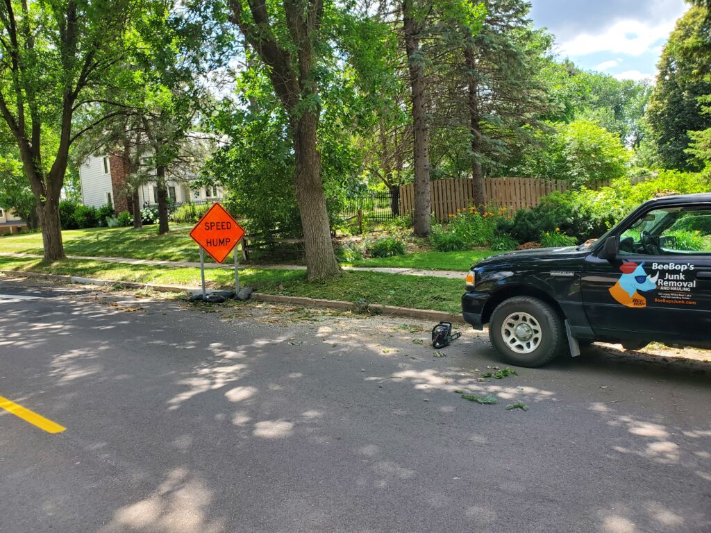 Tree Removal After