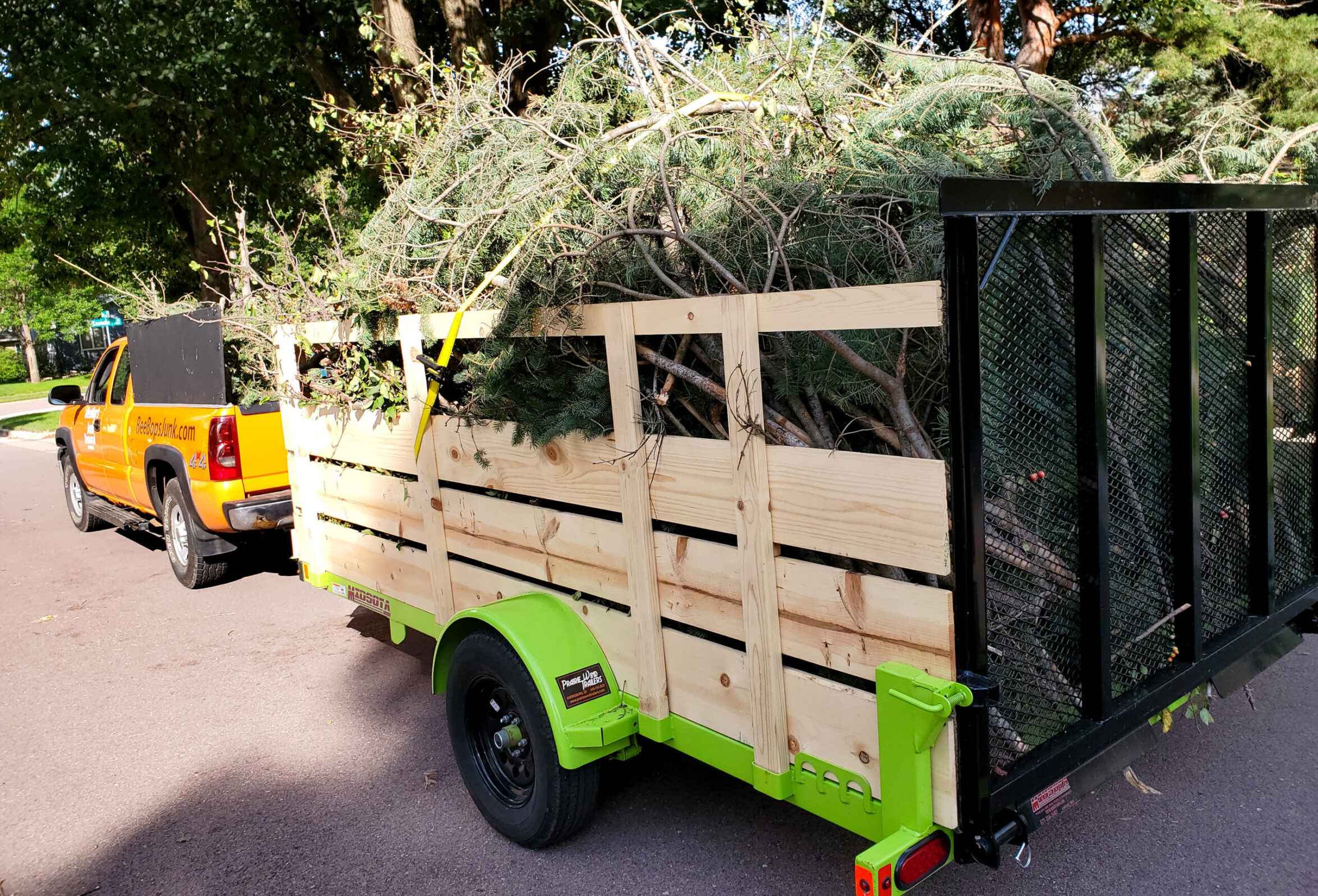 Sioux Falls Tree Removal